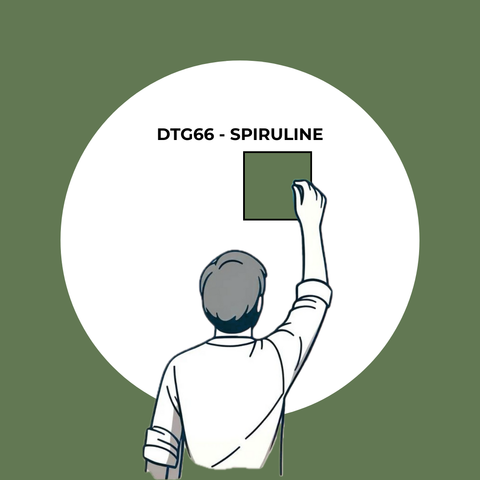 Échantillon Spiruline