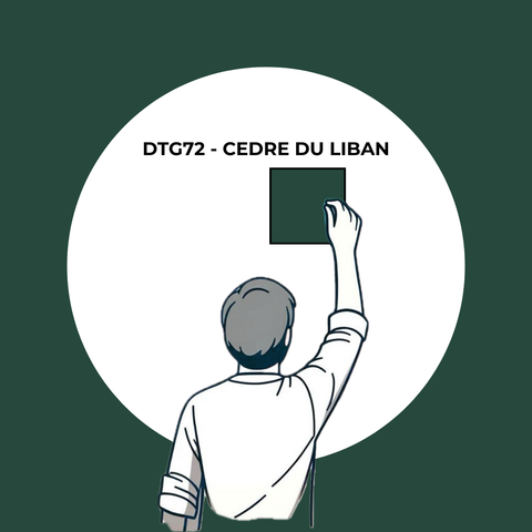 Échantillon Cèdre du Liban