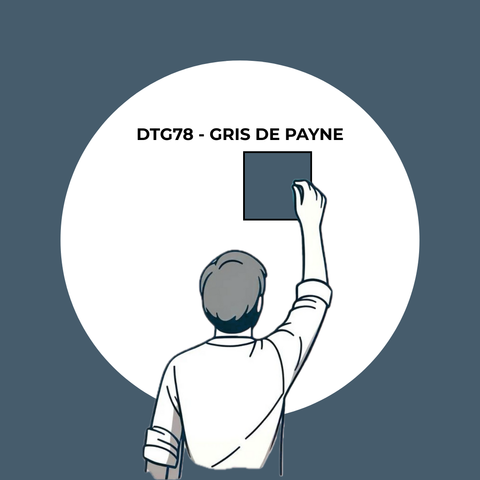 Échantillon Gris de Payne