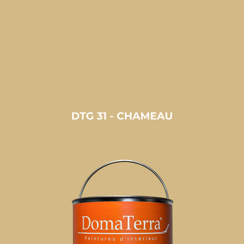 Peinture - Chameau