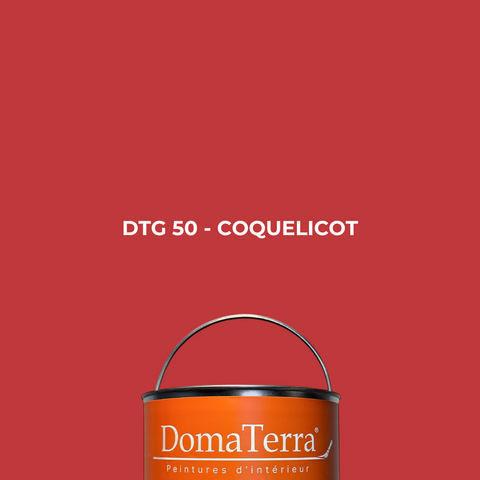 Peinture - Coquelicot