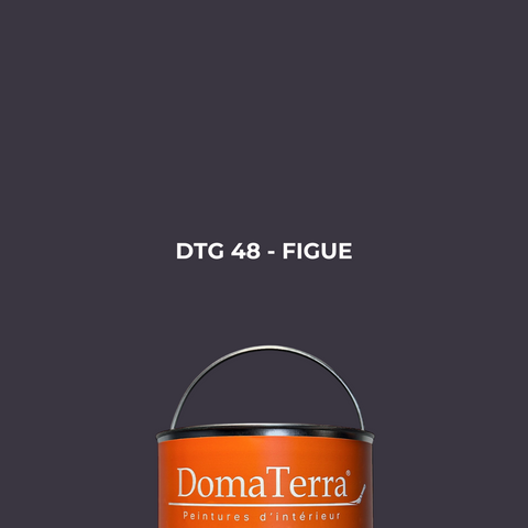 Peinture - Figue
