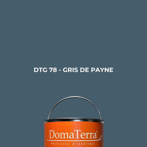 Peinture - Gris de Payne