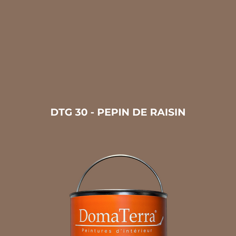 Peinture - Pépin de Raisin
