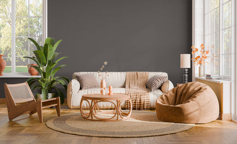 Peinture Grise Salons
