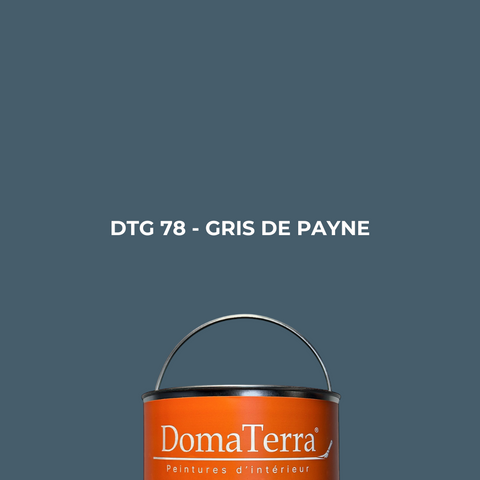 Gris de Payne