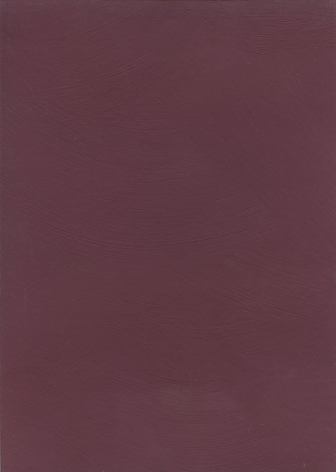 peinture a la chaux violet prune foncé lhassa