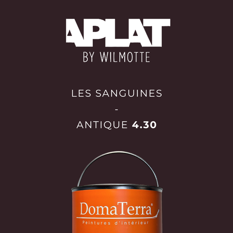 Teinte Aplat by Wilmotte - Antique 4.30