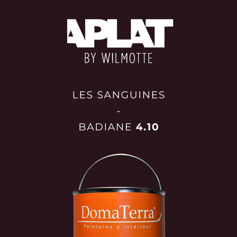 Teinte Aplat by Wilmotte - Badiane 4.10