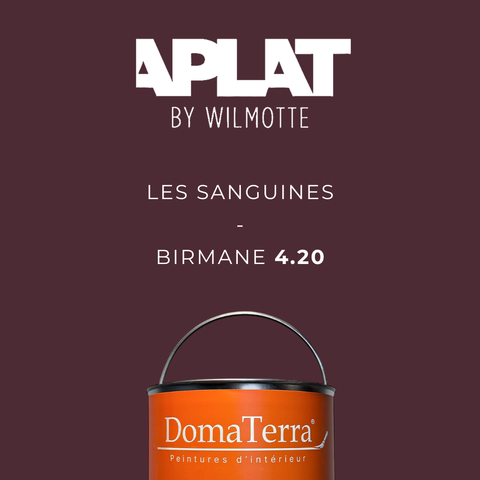 Teinte Aplat by Wilmotte - Birmane 4.20