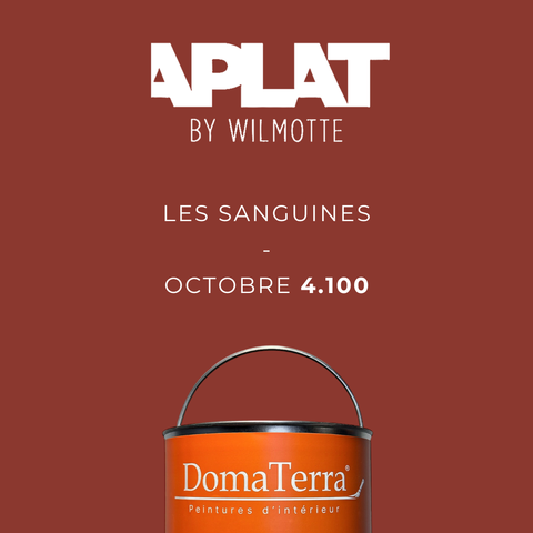 Teinte Aplat by Wilmotte - Octobre 4.100