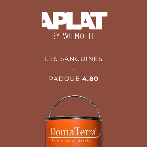 Teinte Aplat by Wilmotte - Padoue 4.80