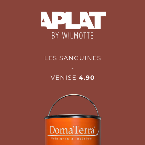 Teinte Aplat by Wilmotte - Venise 4.90